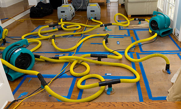 Professional Flood Damage Restoration technician working in Jemez Springs, NM